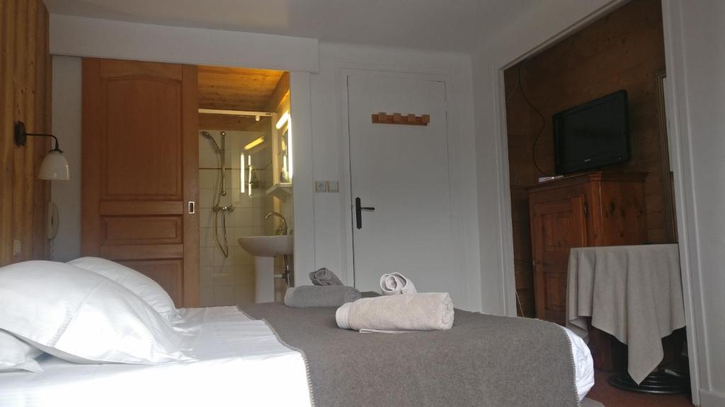 Двухместный (Двухместный номер эконом-класса с 2 отдельными кроватями и душем) отеля Hôtel Bellier, Валь-дизер