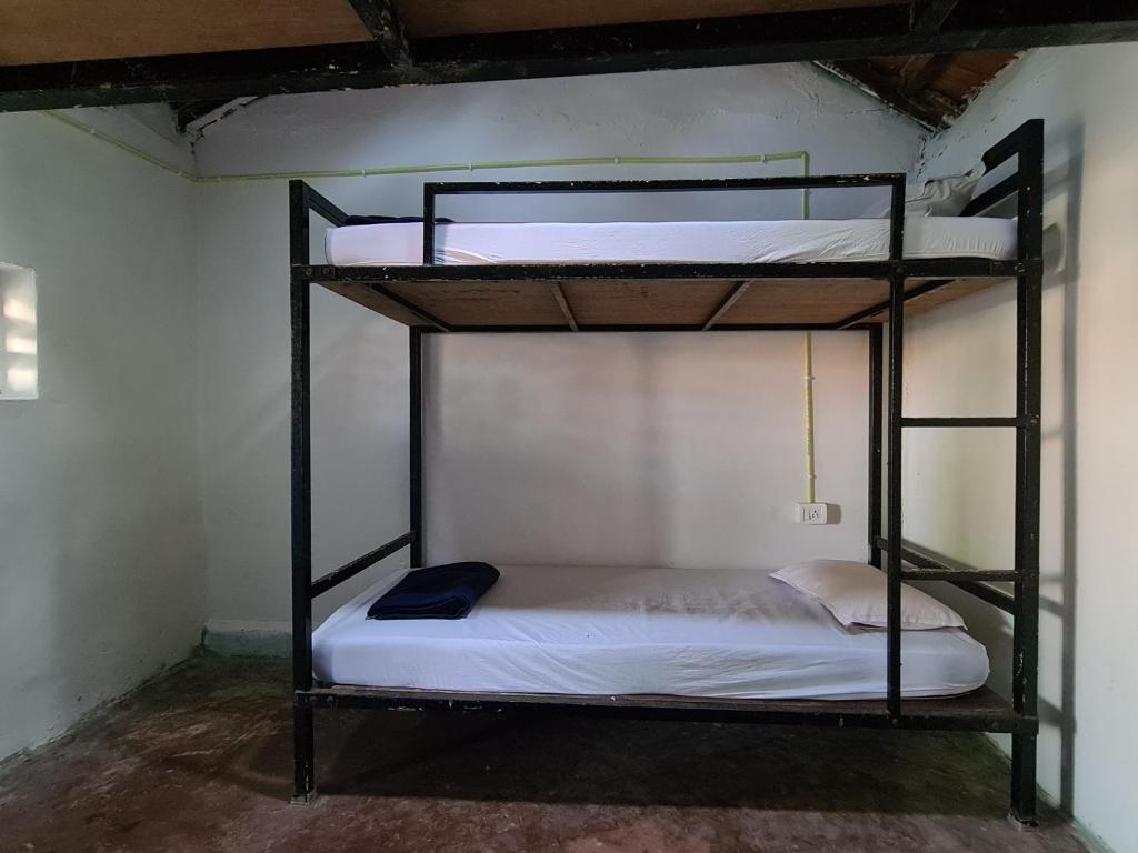 Номер (Кровать в общем 4-местном номере для мужчин и женщин) хостела Trippr Gokarna - Backpacker Hostel, Гокарна