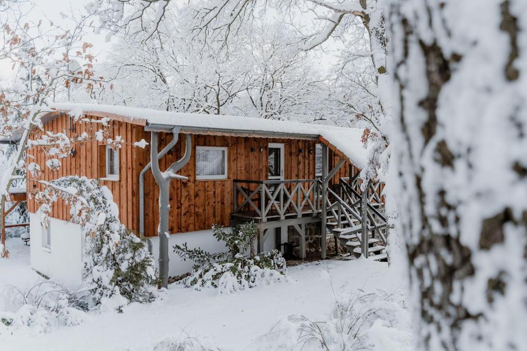 Двухместный (Двухместный номер с 1 кроватью, Harzerhaus), Pension Forsthaus Georgshöhe