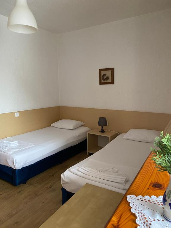 Двухместный (Двухместный номер с 1 кроватью или 2 отдельными кроватями) отеля Family Hotel Flora, Златоград