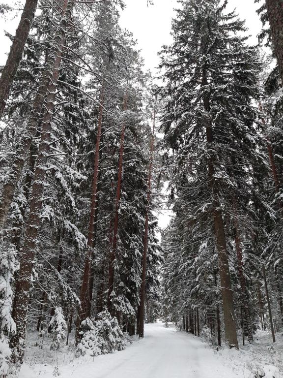 Номер (Дом с двумя спальнями и сауной), Mošķu Pirts