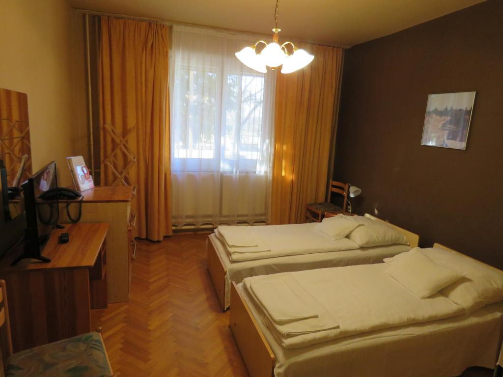 Двухместный (Стандартный двухместный номер с 2 отдельными кроватями) отеля Thermal Hotel, Комаром