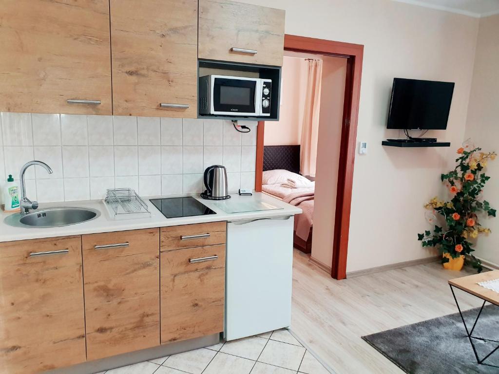 Апартаменты (Апартаменты с 1 спальней), ApartHouse Apartamenty Centrum