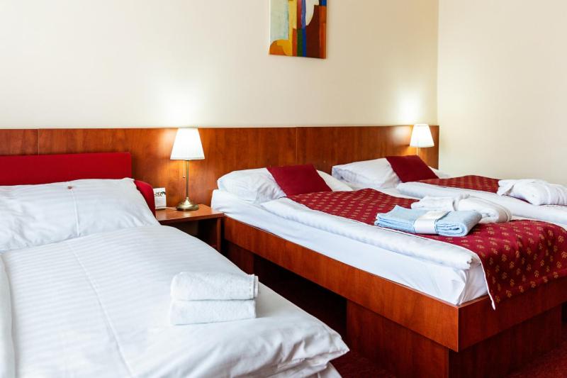 Двухместный (Double or Twin Room  Double Room with Unlimited Aquapark access) отеля Hotel Senec Lake Resort, Сенец