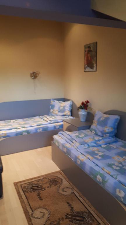 Двухместный (Двухместный номер с 2 отдельными кроватями) гостевого дома Guest House Blisten, София