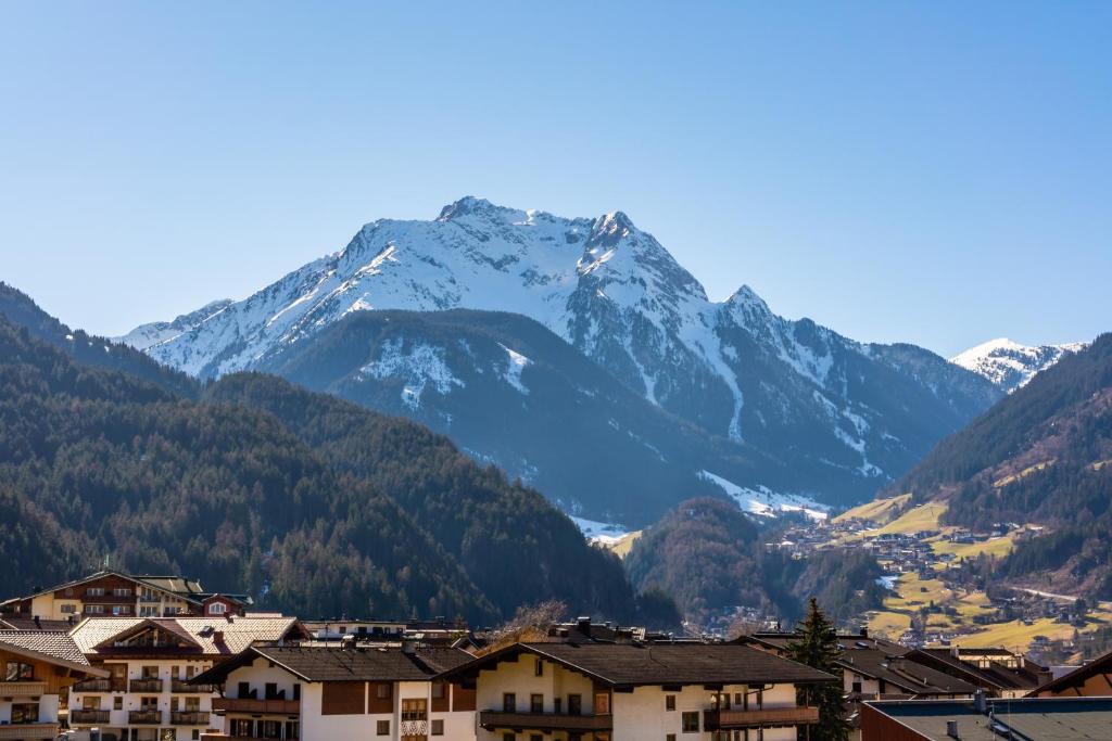 Сьюит (Люкс), Apparthotel Sonnenhof