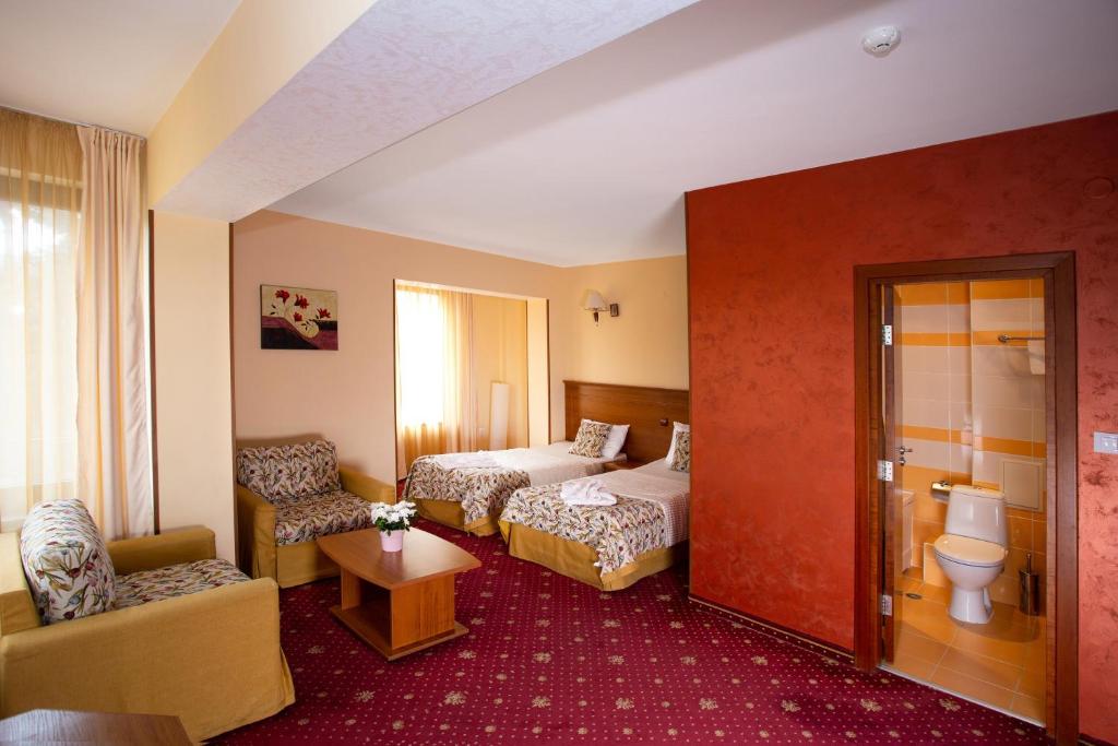 Двухместный (Улучшенный двухместный номер с 2 отдельными кроватями) отеля Contessa Hotel, Шумен