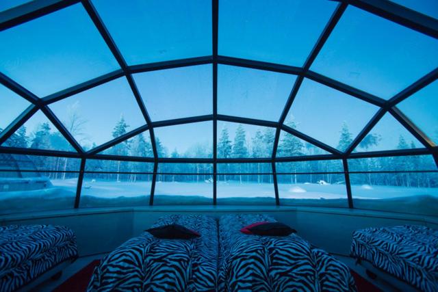 Четырехместный (Большое стеклянное иглу (для 4 взрослых)) отеля Kakslauttanen Arctic Resort - Igloos and Chalets, Саариселькя