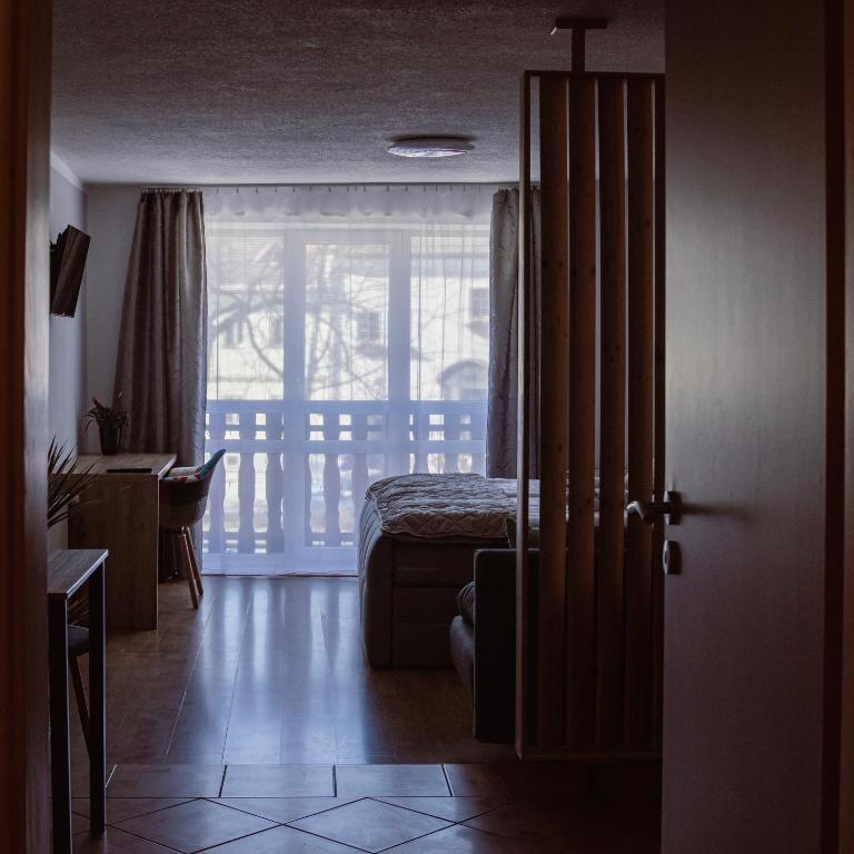 Двухместный (Большой двухместный номер с 1 кроватью) гостевого дома Penzion Pohoda, Фримбурк