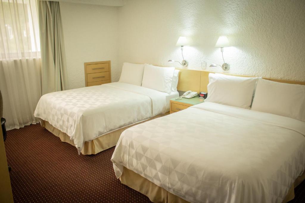 Двухместный (Стандартный двухместный номер с 1 кроватью) отеля Holiday Inn Morelia, Морелия