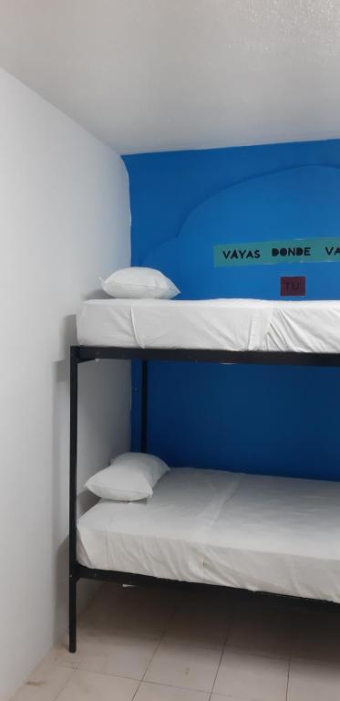 Номер (Кровать в общем номере для мужчин с 4 кроватями) гостевого дома Hostel 6/15, Плая-дель-Кармен