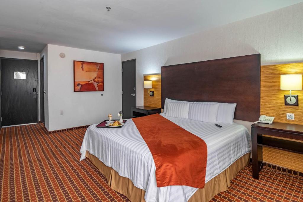 Двухместный (Номер с кроватью размера «king-size») отеля Paris FC Hotel, Поса-Рика-де-Идальго