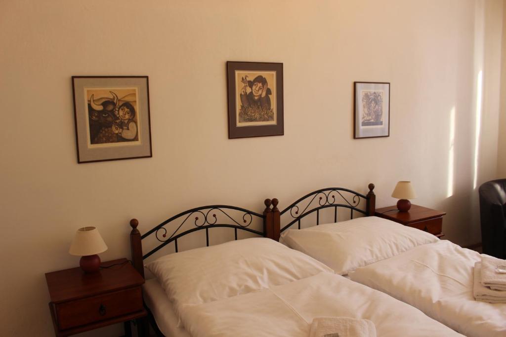 Двухместный (Двухместный номер с 1 кроватью или 2 отдельными кроватями, вид на город) отеля Hotel Černý kůň, Лоуни