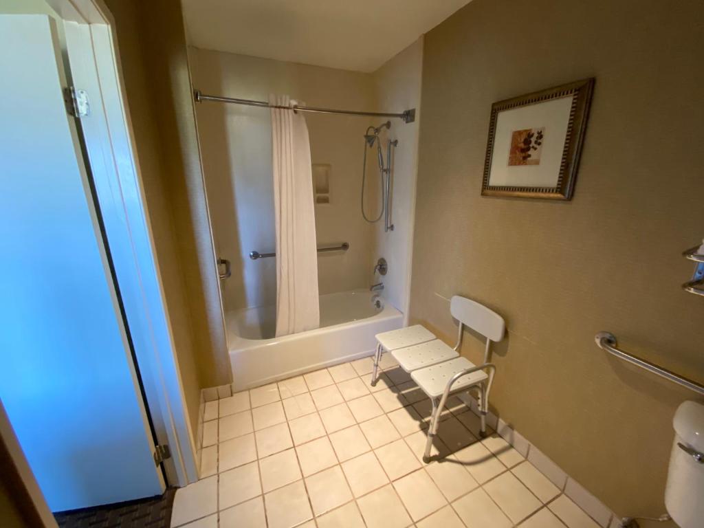 Двухместный (Номер с кроватью размера king-size – Подходит для гостей с ограниченными физическими возможностями), Hotel Silver Lake