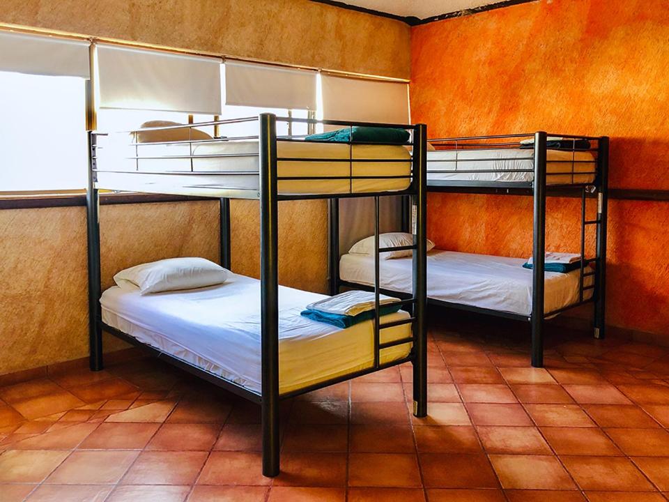 Номер (Кровать в общем номере для мужчин и женщин с 10 кроватями), Hostal San Jemo, León