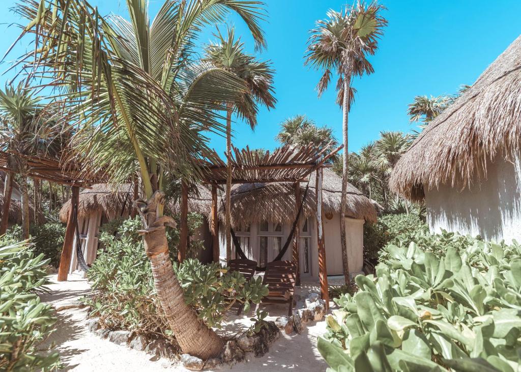 Номер (Коттедж с видом на джунгли - 1 кровать) отеля Papaya Playa Project, Тулум