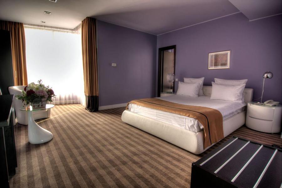 Двухместный (Двухместный номер Делюкс с 1 кроватью) отеля Hotel Dumbrava, Бакэу