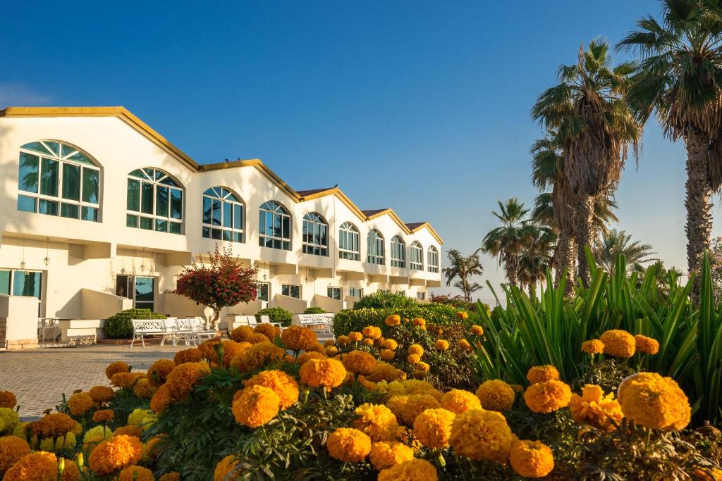 Двухместный (Стандартный двухместный номер с 1 кроватью) курортного отеля Sandy Beach Hotel & Resort, Аль-Ака