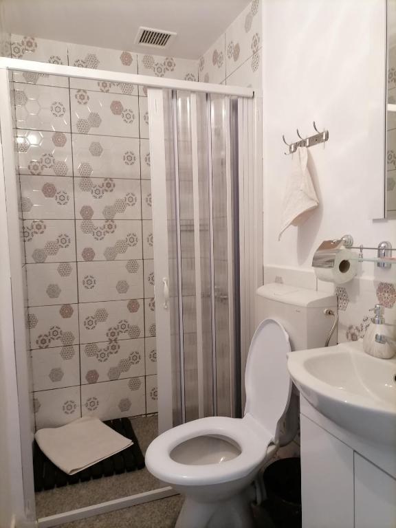Трехместный (Трехместный номер с ванной комнатой) гостевого дома Pensiunea Broscuta, Хорезу