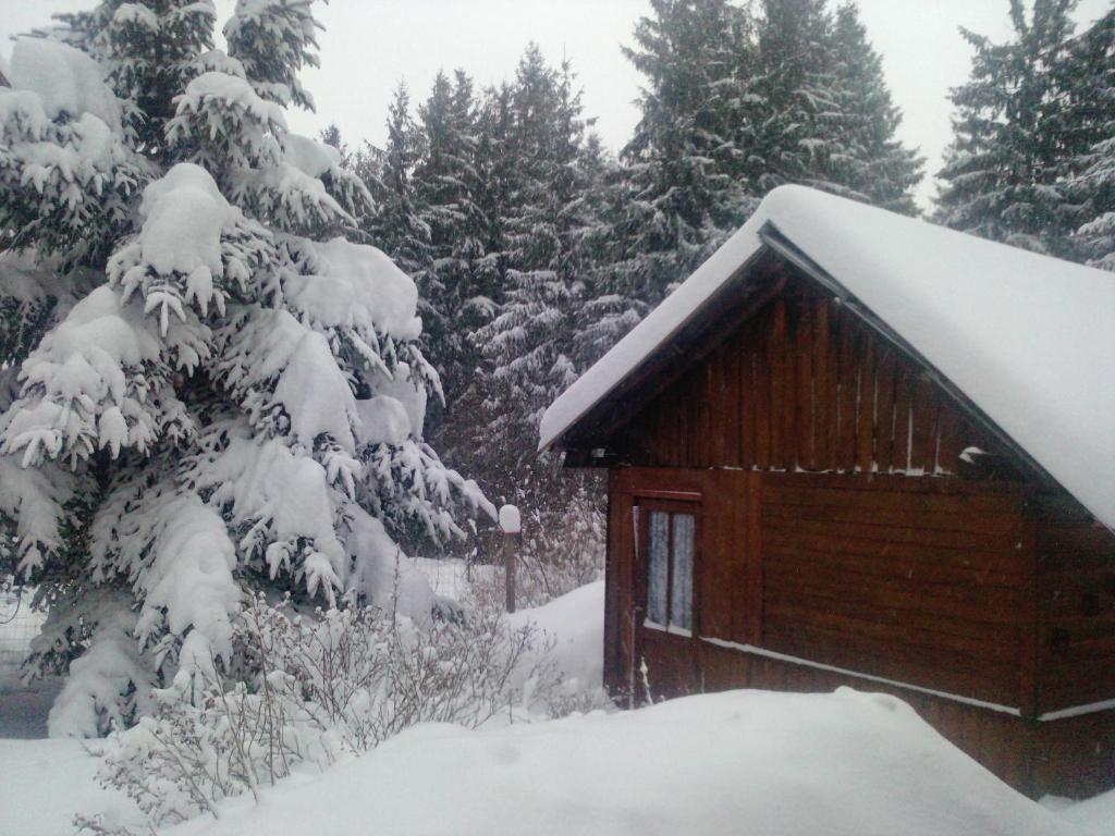 Номер (Шале), Guest House & Apartment Nabucco with Mountain View