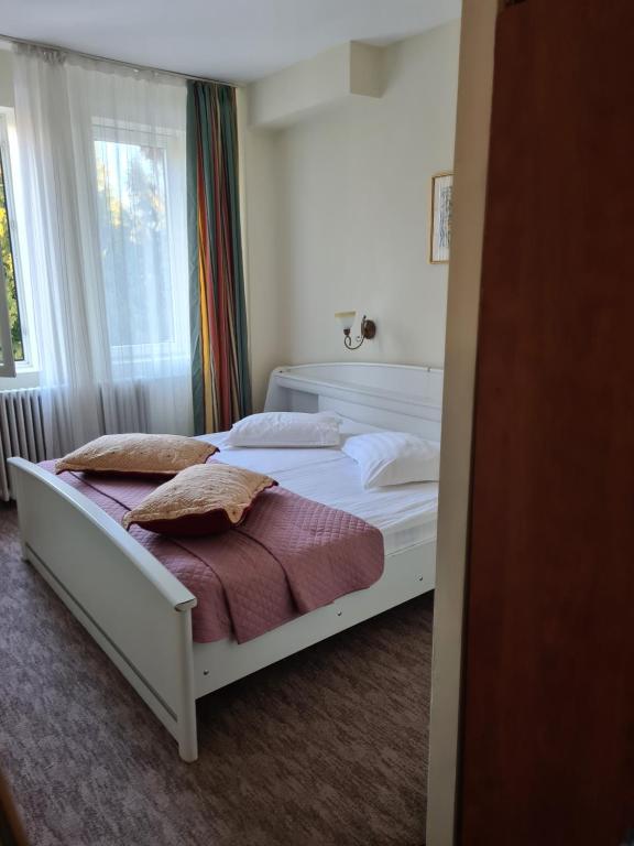 Двухместный (Двухместный номер с 1 кроватью или 2 отдельными кроватями и балконом) отеля Hotel Bucegi Portile Regatului, Предял