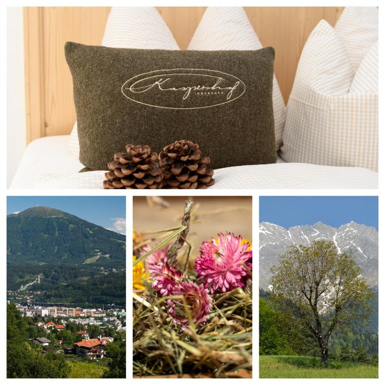 Студио (Номер-студио), Kasperhof Appartements Innsbruck Top 1 - 5