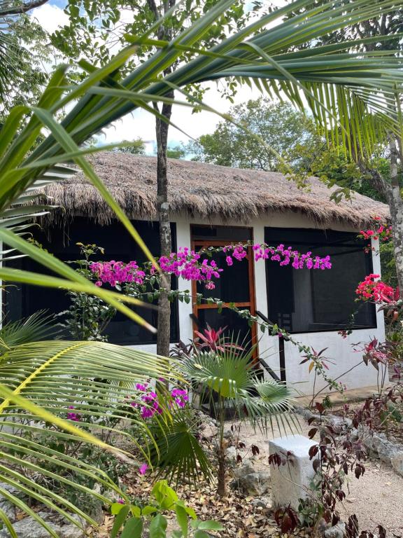 Двухместный (Двухместный номер Делюкс с 1 кроватью) отеля Maya Eco Village, Акумаль