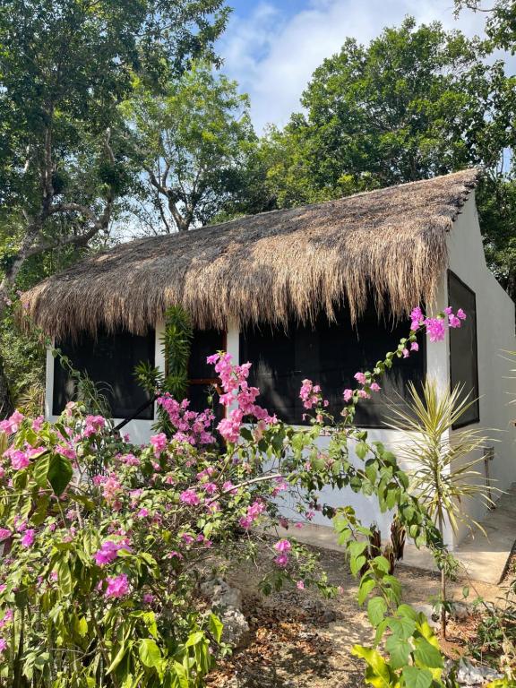 Двухместный (Двухместный номер Делюкс с 1 кроватью) отеля Maya Eco Village, Акумаль
