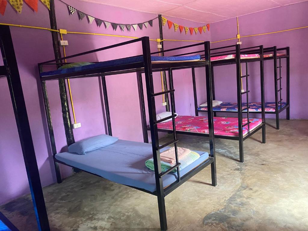 Номер (Кровать в общем номере для мужчин и женщин с 10 кроватями) хостела Tribal Pai Backpackers, Пай
