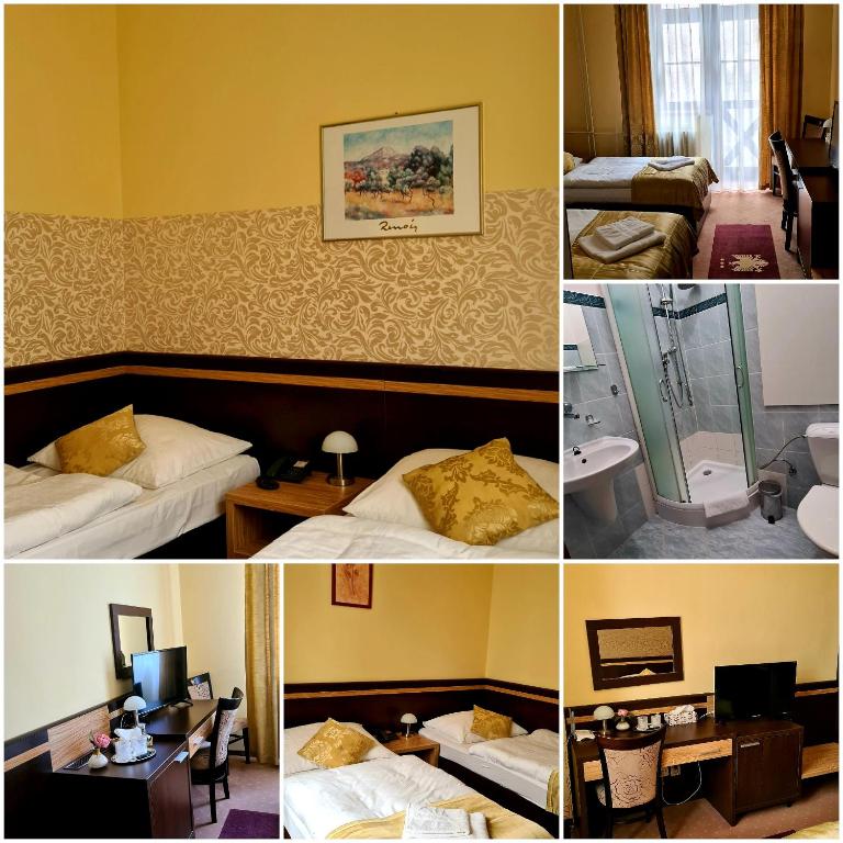 Двухместный (Двухместный номер с 1 кроватью) отеля Hotel Čierny Orol, Рожнява