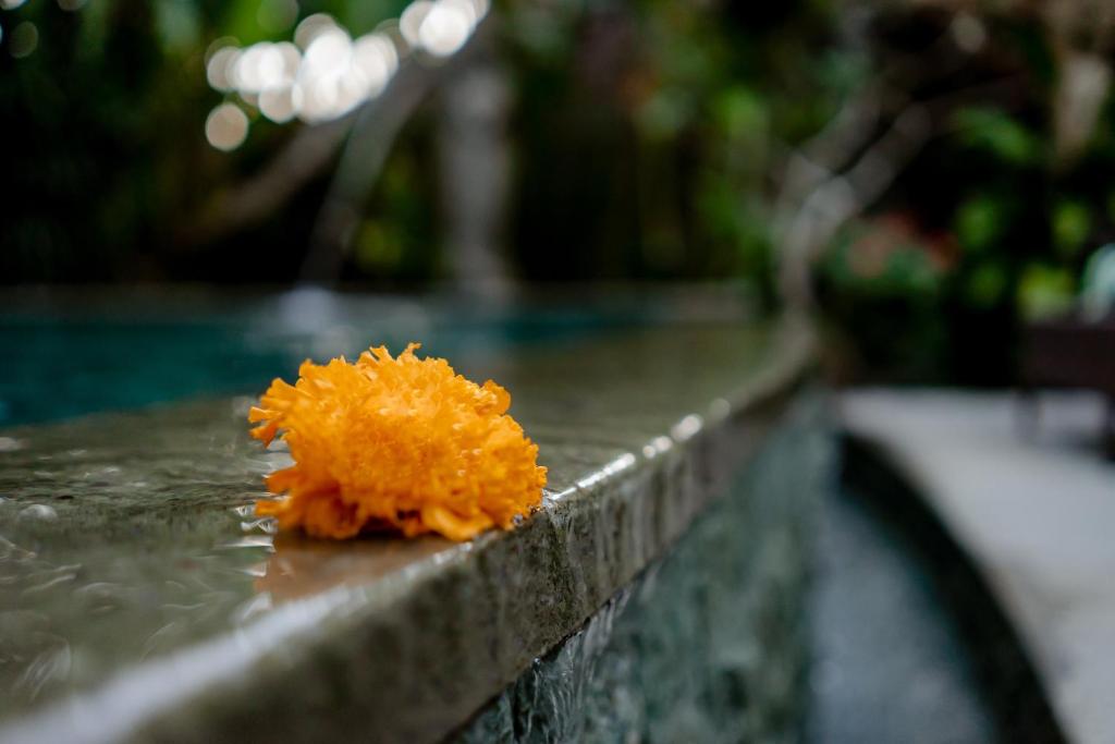 Вилла (Вилла с 1 спальней с видом на сад), D'Bale Ananda Ubud Villa