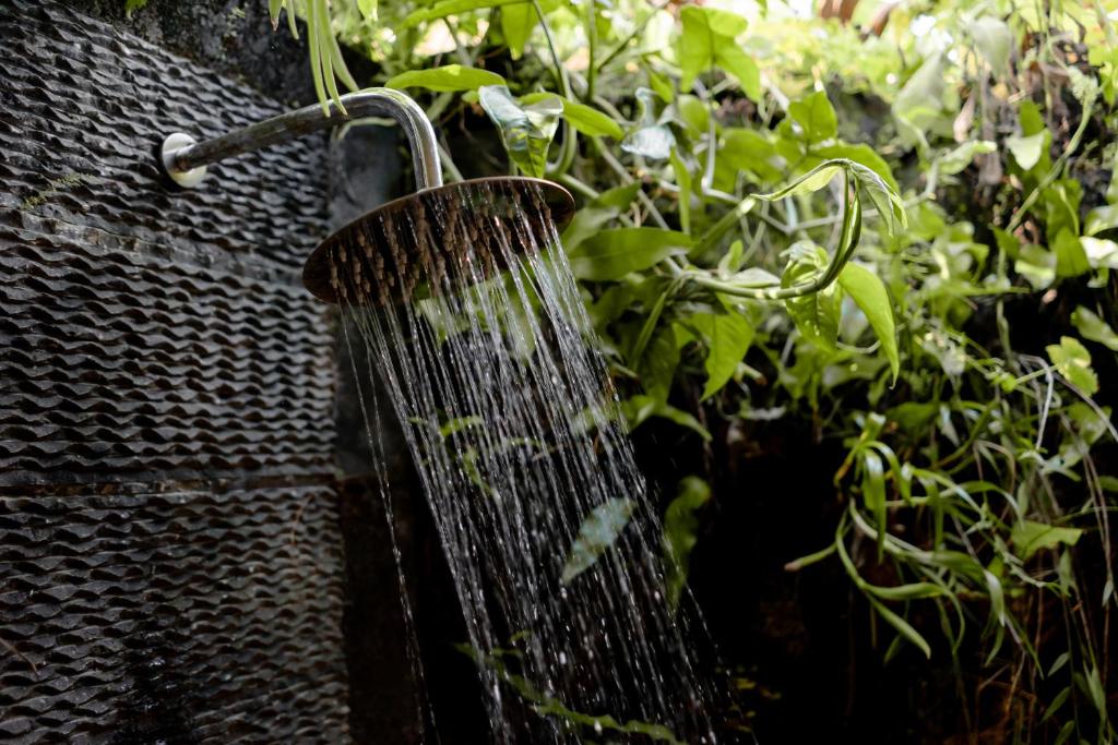 Вилла (Вилла с 1 спальней с видом на сад), D'Bale Ananda Ubud Villa