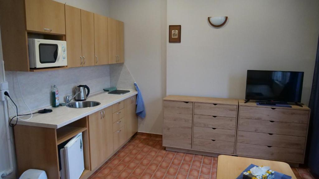 Двухместный (Двухместный номер с 1 кроватью и террасой) гостевого дома Penzion Na Hradbách, Лоуни