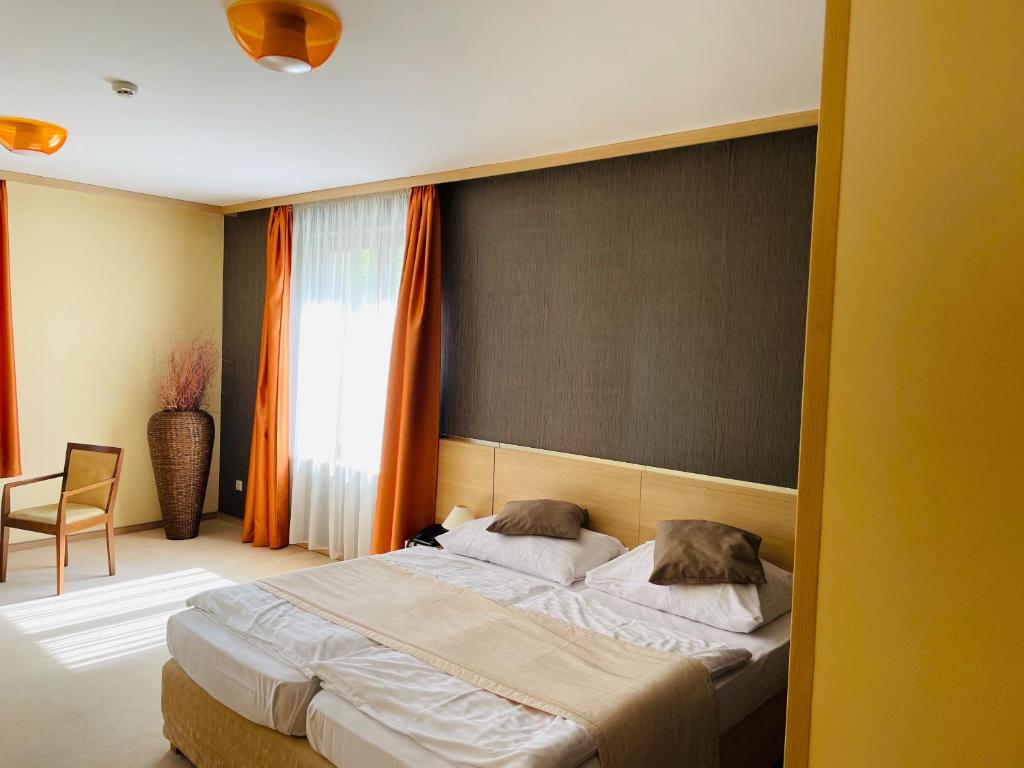 Двухместный (Двухместный номер Делюкс с 1 кроватью и душем) отеля Hotel Legend, Дунайска-Стреда
