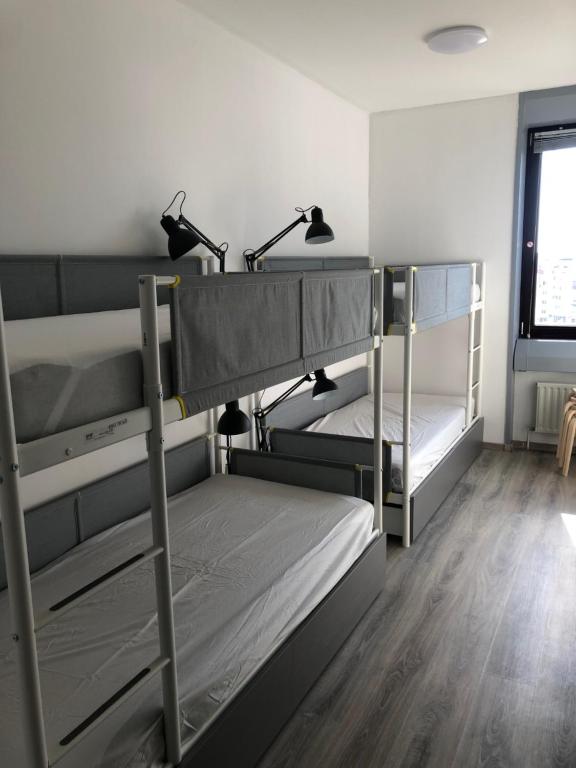 Номер (Кровать в общем 6-местном номере для мужчин и женщин) хостела Panorama Hostel, Франкфурт-на-Майне