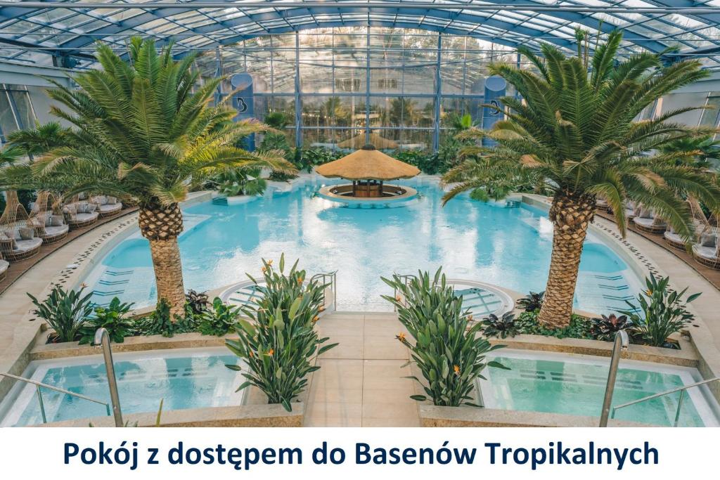 Двухместный (Double Room with access to Tropical Pools) отеля Hotel Binkowski, Кельце