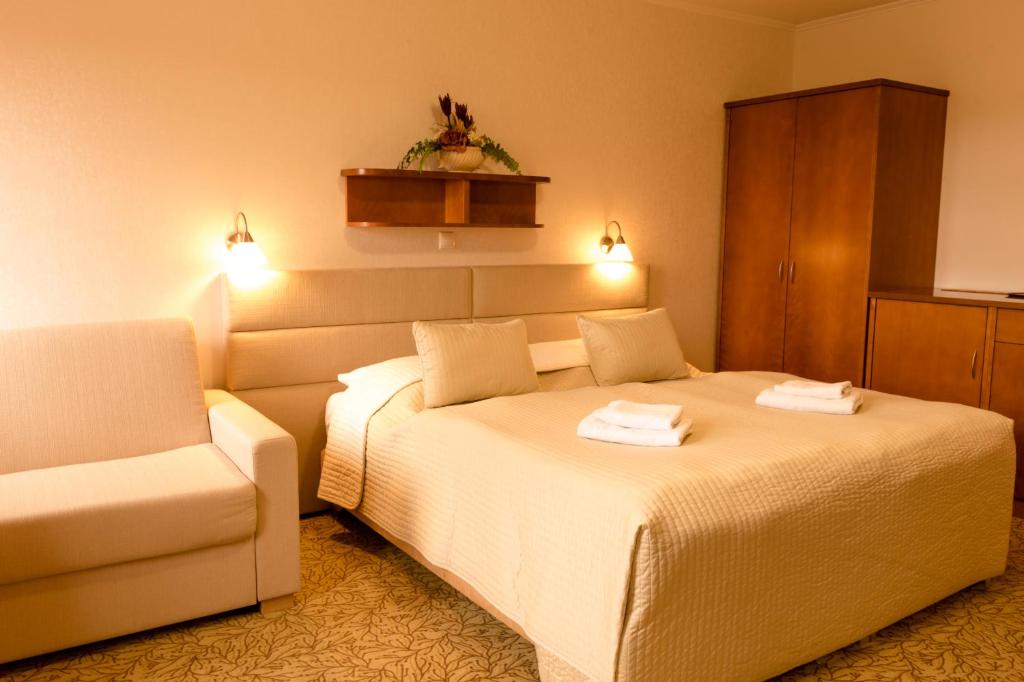Двухместный (Двухместный номер с двуспальной кроватью и дополнительной кроватью) отеля Veitsberg-Vitkova Hora, Карловы Вары
