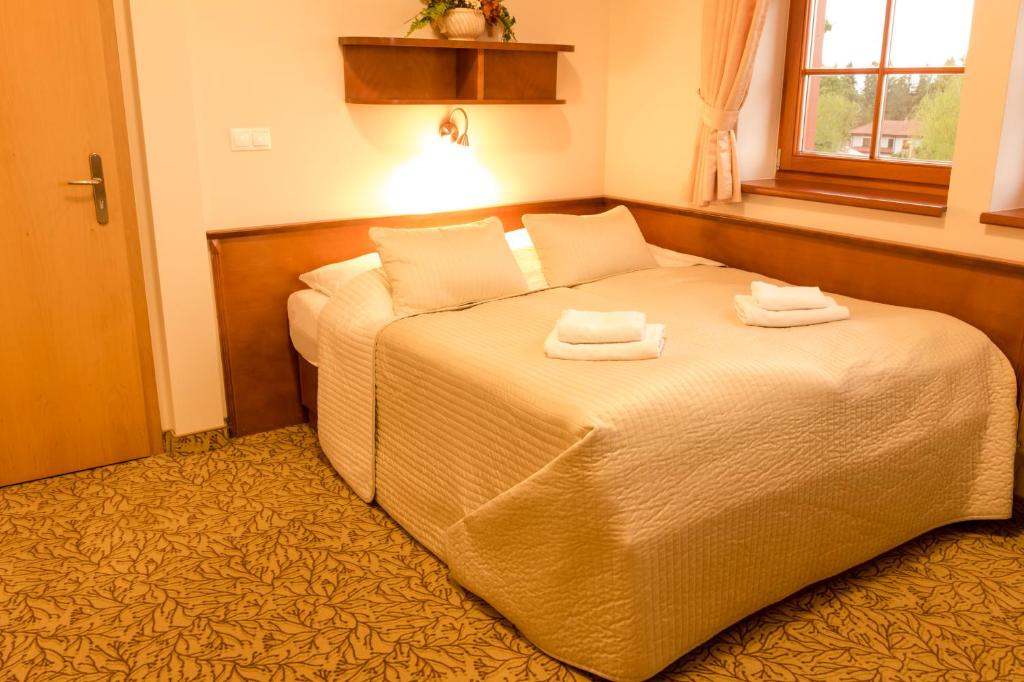 Двухместный (Двухместный номер Делюкс с 1 кроватью и ванной) отеля Veitsberg-Vitkova Hora, Карловы Вары
