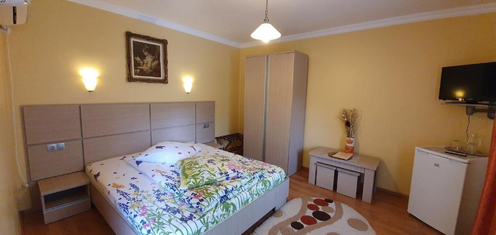 Двухместный (Двухместный номер с 1 кроватью) гостевого дома Pension Charisma, Бэиле-Херкулане
