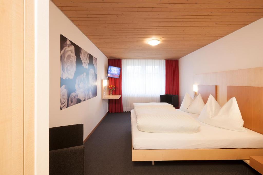 Двухместный (Двухместный номер с 1 кроватью) отеля Hotel Landgasthof Hirschen, Штайн-на-Рейне