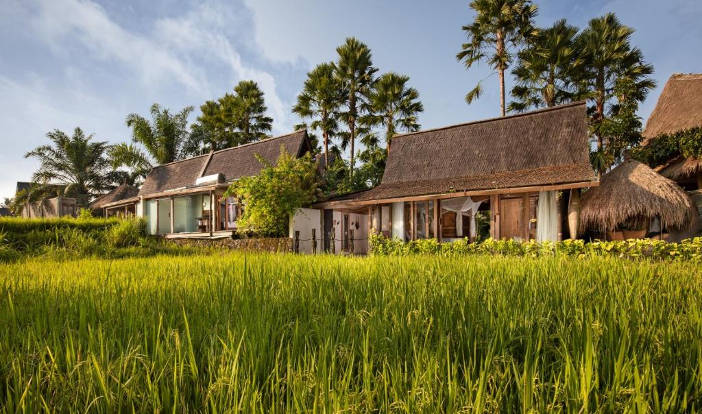 Двухместный (Бунгало Sawah с 1 спальней), Blue Karma Nestling Ubud