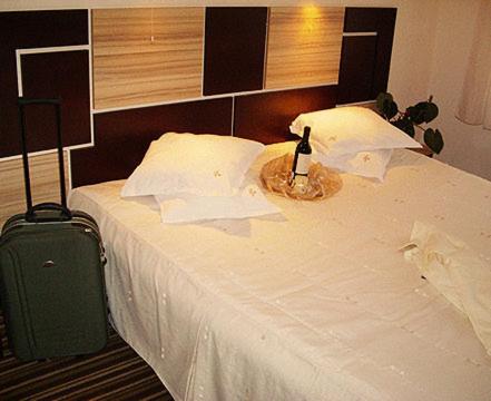 Двухместный (Двухместный номер с 1 кроватью и бесплатной парковкой) отеля Hotel Orlando, София