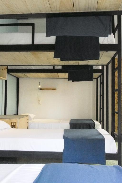Номер (Односпальная кровать в общем номере для мужчин и женщин) хостела Blue Bicycle House, Керетаро