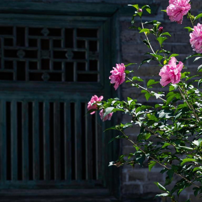 Сьюит (Семейный люкс), Yangshuo Secret Garden