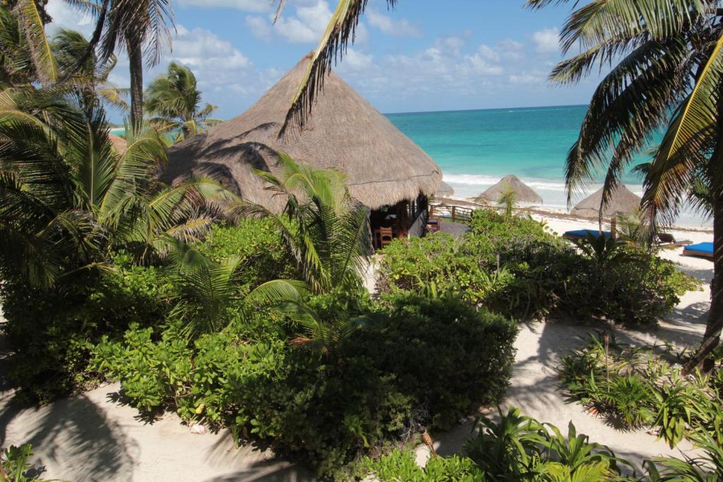 Сьюит (Люкс в мансарде с видом на море) отеля Sol Caribe, Пунта-Аллен