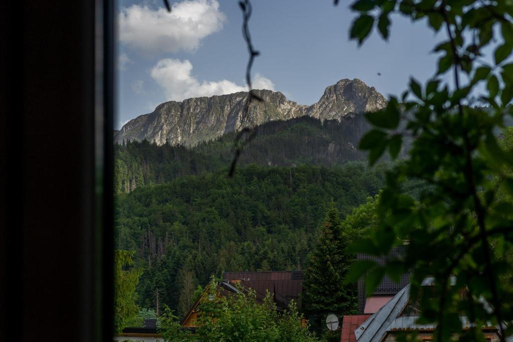 Двухместный (Номер с кроватью размера «queen-size» и общей ванной комнатой), Guest House & Apartment Nabucco with Mountain View