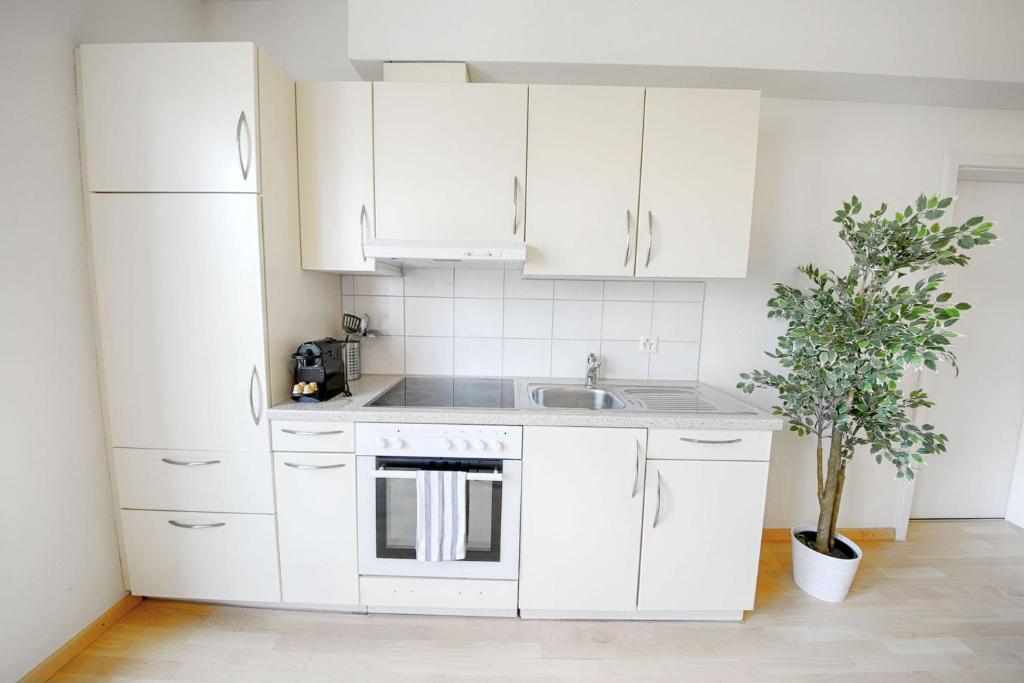 Апартаменты (Two Bedroom Apartment with balcony  A), HITrental Stauffacher Apartments