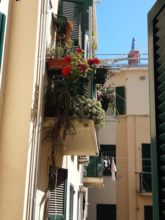 Двухместный (Двухместный номер эконом-класса с 1 кроватью) отеля Albergo Massena, Генуя