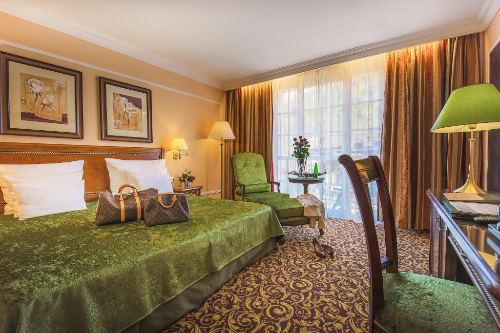 Двухместный (Двухместный номер Делюкс с 1 кроватью, доступ в оздоровительный центр) отеля Carlsbad Plaza Medical Spa & Wellness hotel, Карловы Вары
