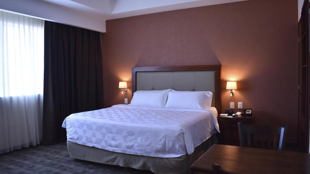 Двухместный (Номер с кроватью размера king-size – Подходит для гостей с ограниченными физическими возможностями) отеля Holiday Inn & Suites Plaza Mayor, Леон (Штат Гуанахуато)